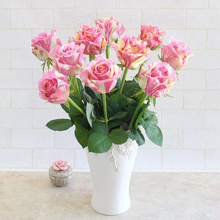 �y�������͂��z�V�N�I�o���̓E�݂��ĕցi5�����͂��j�t�B�X�^