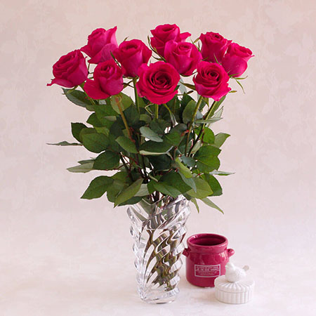 �y�������͂��z�V�N�I�o���̓E�݂��ĕցi5�����͂��j�t�B�X�^