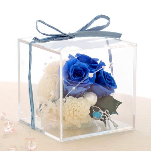 �v���U�[�u�h�t�����[�u���č��v