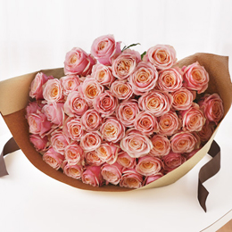 ���_�����[�Y�u�x�r�[�s���N�v