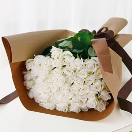 ���_�����[�Y�u�s���A�z���C�g�v