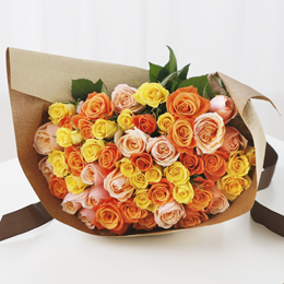 ���_�����[�Y�u�~�b�N�X�E�C�G���[�I�����W�v