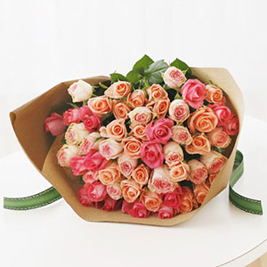 ���_�����[�Y�u�~�b�N�X�E�s���N�v