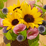 �Ă̂��� �q�}����