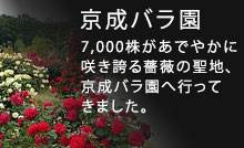 �����o����