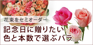 �L�O���ɑ��肽���F�Ɩ{���őI�ԃo��