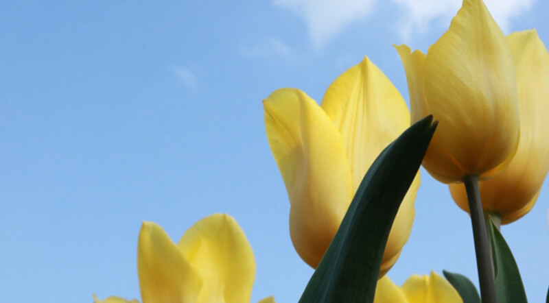 Point1 屋外に置く